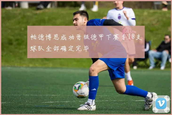 帕德博恩成功晋级德甲下赛季18支球队全部确定完毕