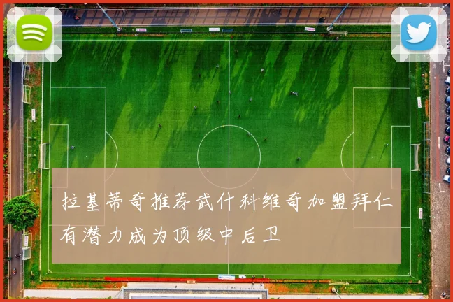 拉基蒂奇推荐武什科维奇加盟拜仁有潜力成为顶级中后卫
